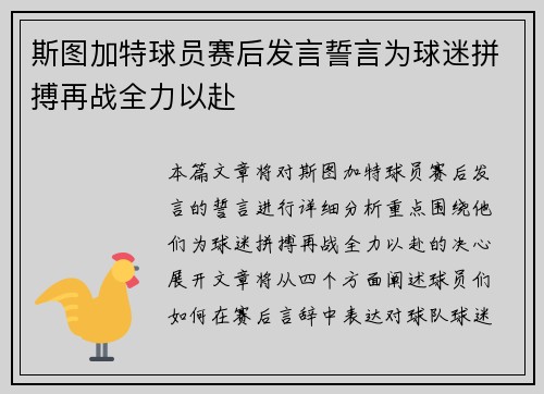 斯图加特球员赛后发言誓言为球迷拼搏再战全力以赴